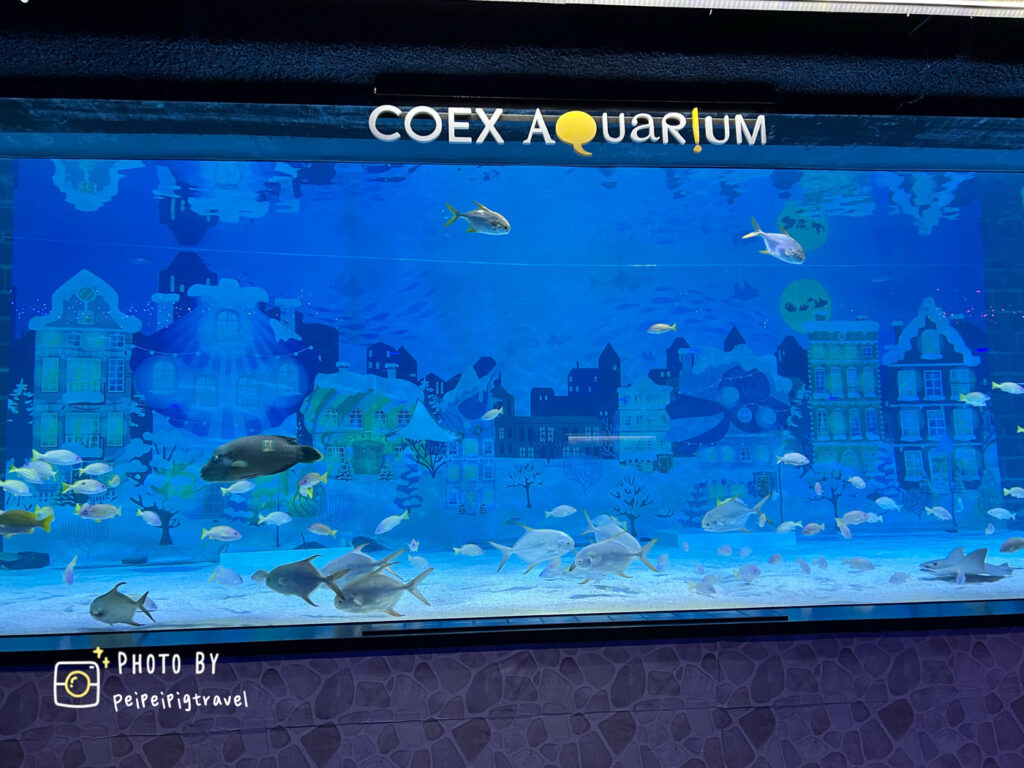 韓國首爾景點｜COEX AQUARIUM 水族館