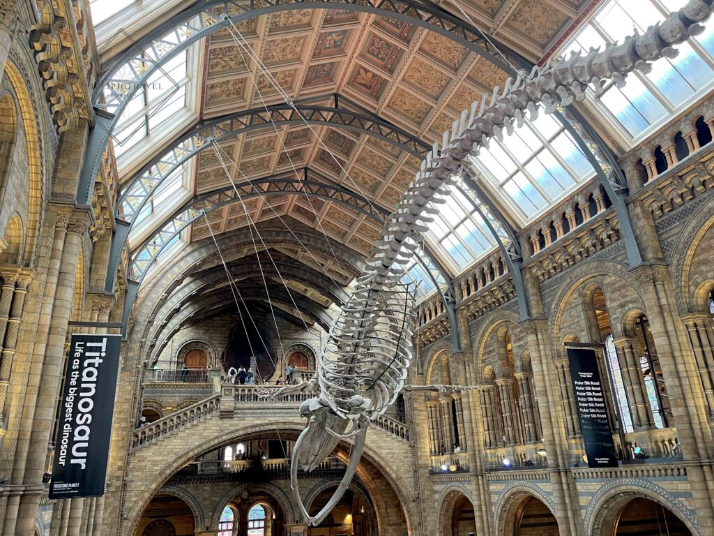 英國倫敦景點｜自然史博物館 Natural History Museum