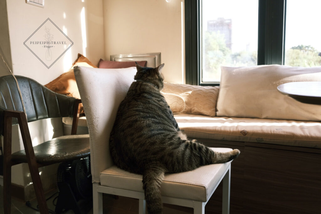 金門美食｜舊事書坊La même histoire