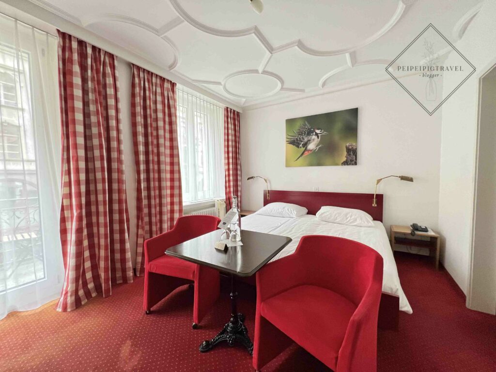 瑞士琉森住宿｜Hotel Alpina Luzern