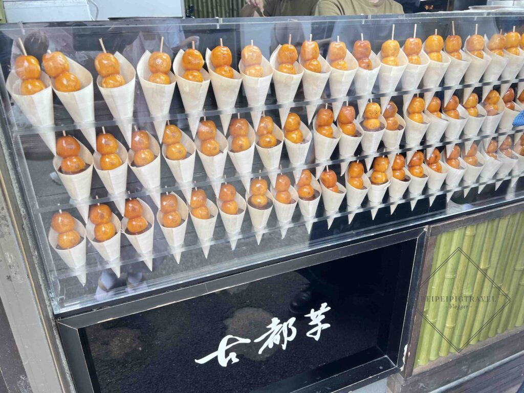 日本京都行程規劃｜嵐山一日遊