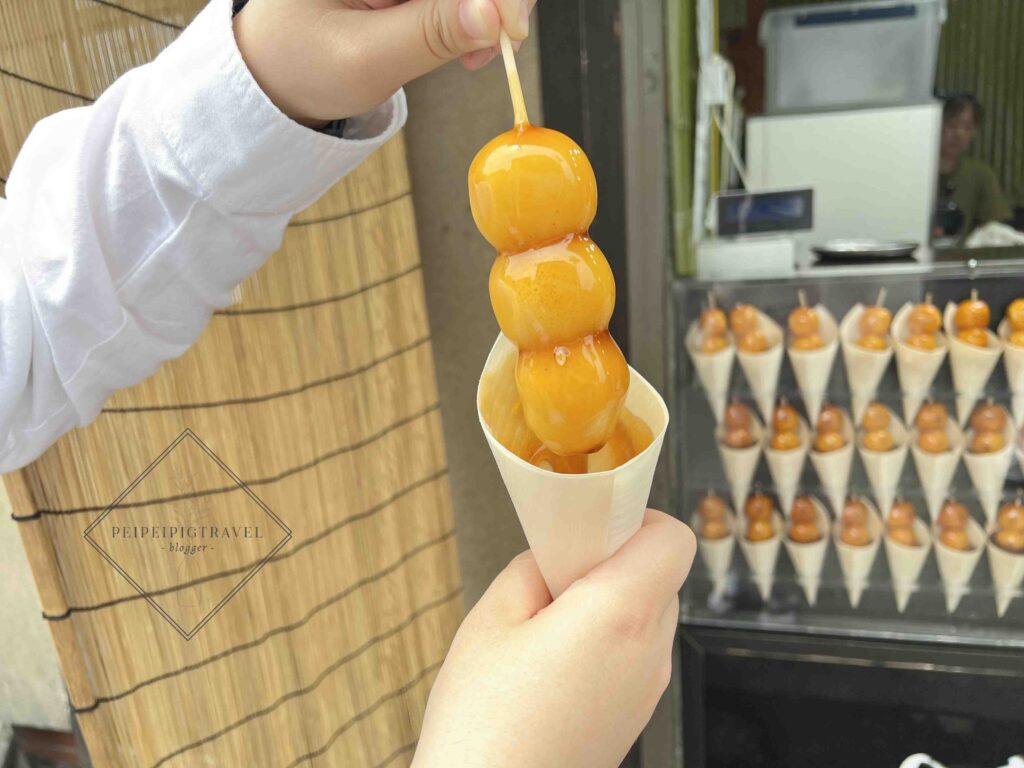 日本京都行程規劃｜嵐山一日遊