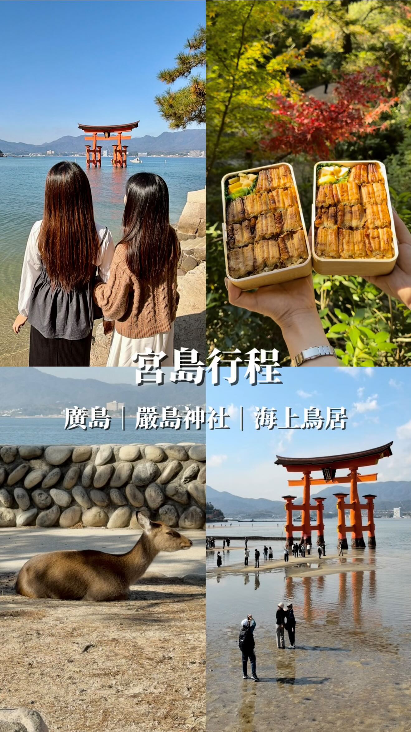 留言「宮島」傳送完整一日攻略給你～

📍廣島｜宮島

你也喜歡慢步調旅行嗎？
那一定要留一天給「宮島」

這是一座位在廣島縣
被選為「日本三景」之一的小島
有嚴島神社和紅色大鳥居
無論潮汐都美到不行

路上還有可愛小鹿陪你散步
秋天更能到紅葉谷公園賞楓
還有超多小吃我們直接大爆吃一輪

#美食瑜樂 #peipei遊廣島 #廣島 #廣島旅遊 #廣島美食 #廣島旅行 #廣島景點 #宮島 #宮島観光 #宮島口 #廣島觀光 #宮島旅行 #宮島珈琲 #嚴島神社 #嚴島神社⛩️ #嚴島 #鳥居 #鳥居⛩️ #紅葉谷公園 #廣島縣 #牡蠣屋 #紅葉堂 #鳥居屋 #烤星鰻便當上野商店 #gebura ##umaimono #miyajima