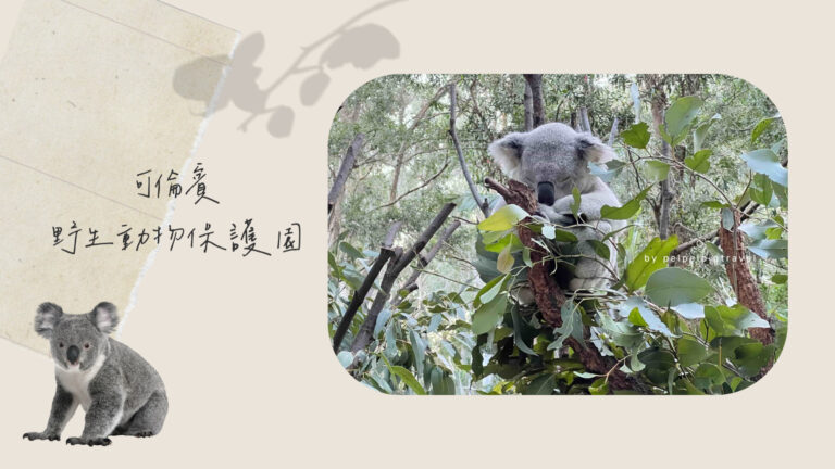 澳洲｜黃金海岸景點｜可倫賓野生動物保護園