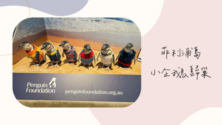 澳洲｜墨爾本景點｜菲利浦島｜小企鵝歸巢