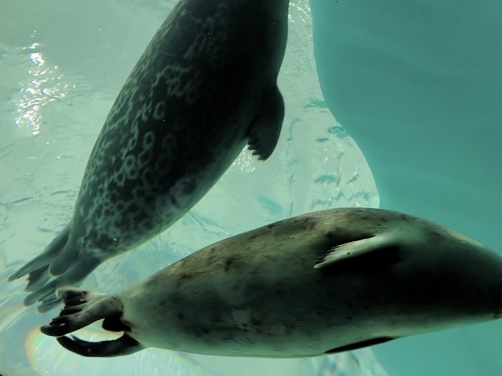 日本大阪自由行｜行程規劃｜六天五夜DAY6