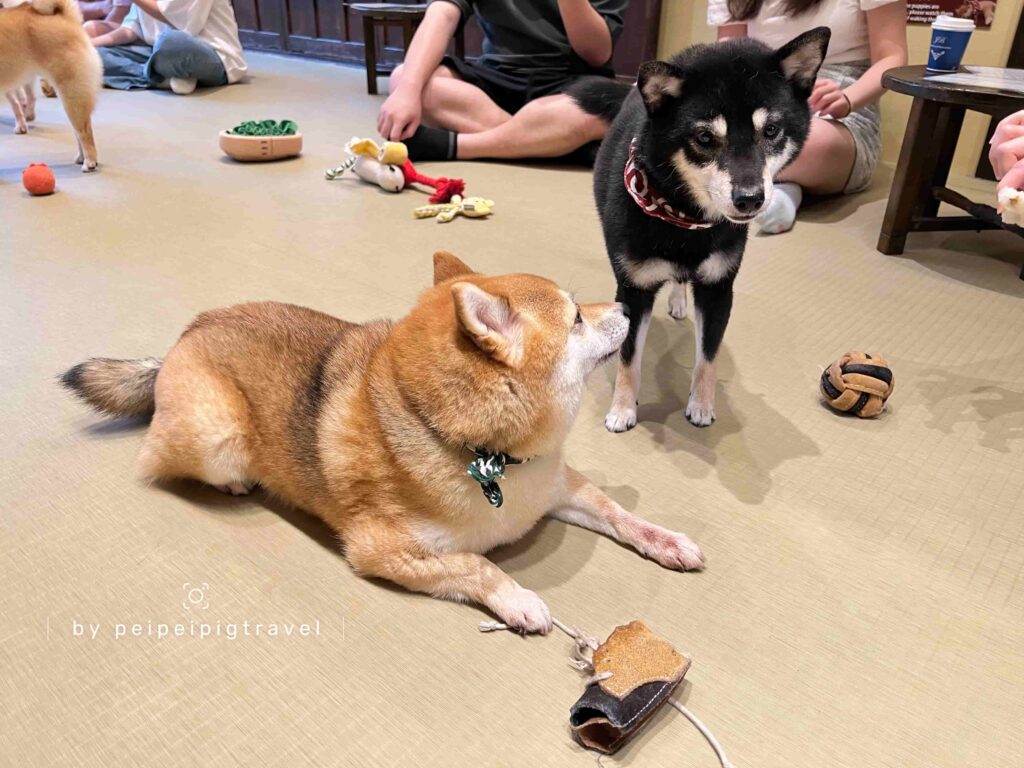 日本大阪自由行｜行程規劃｜六天五夜DAY1