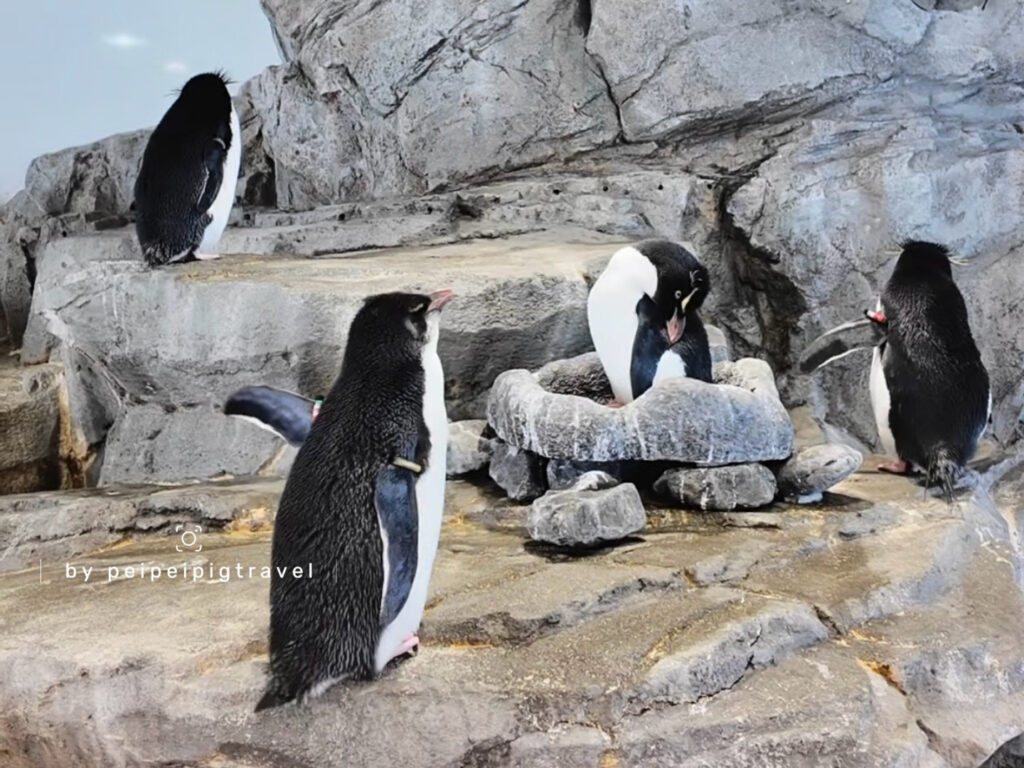 日本大阪自由行｜行程規劃｜六天五夜DAY6