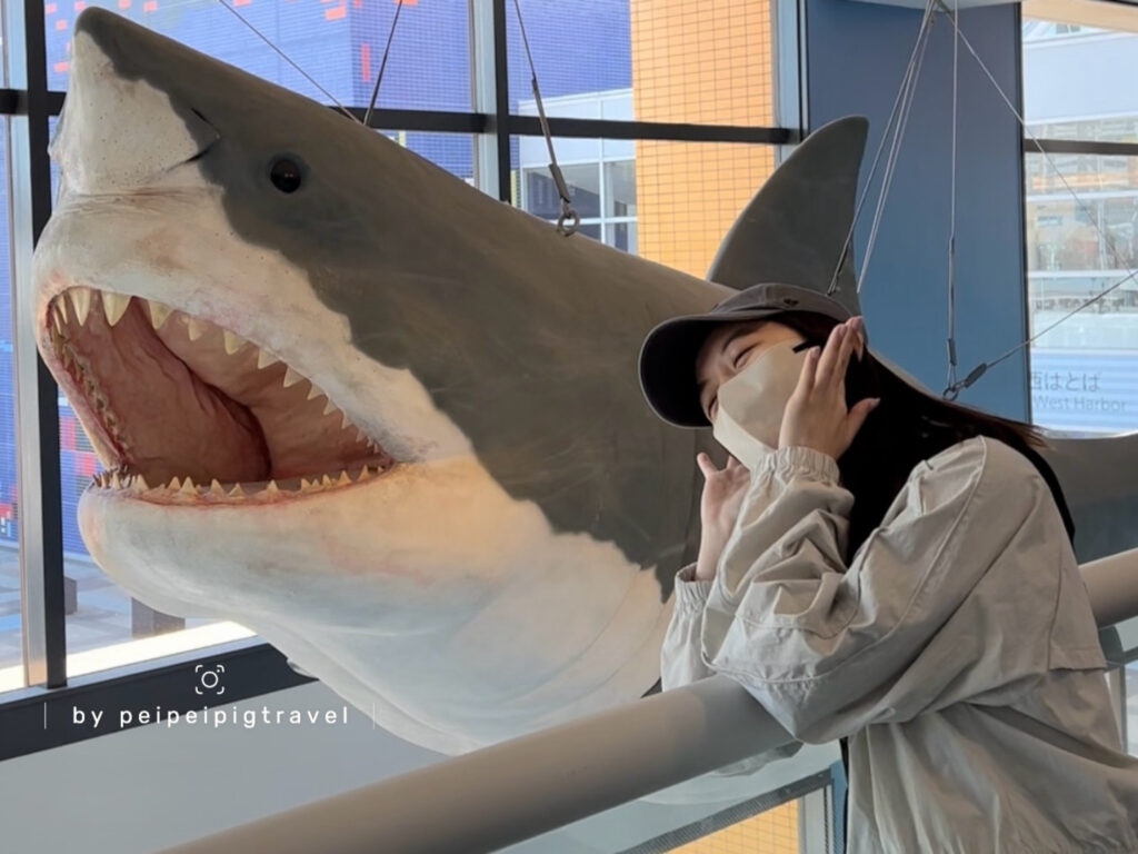 日本大阪自由行｜行程規劃｜六天五夜DAY6