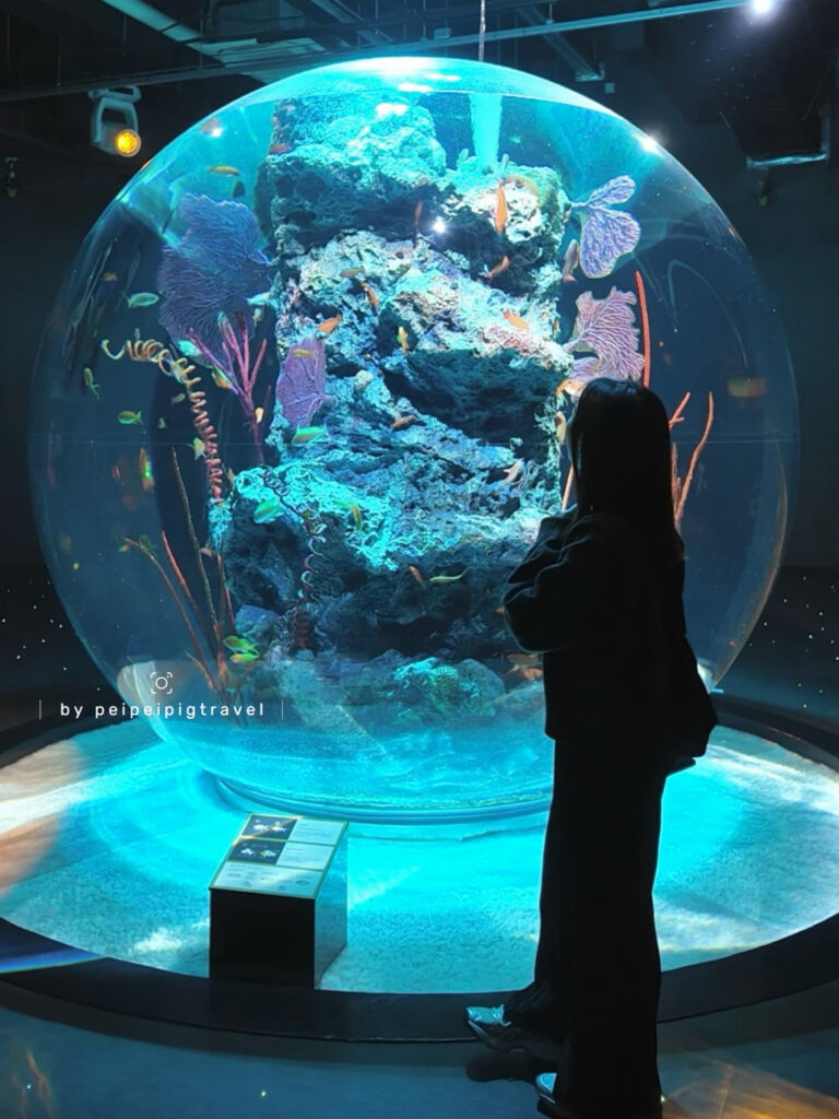 日本神戶自由行｜行程規劃｜五天四夜｜Day 1