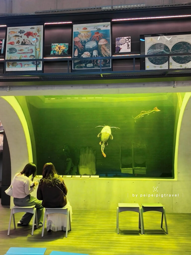 日本神戶自由行｜行程規劃｜五天四夜｜Day 1