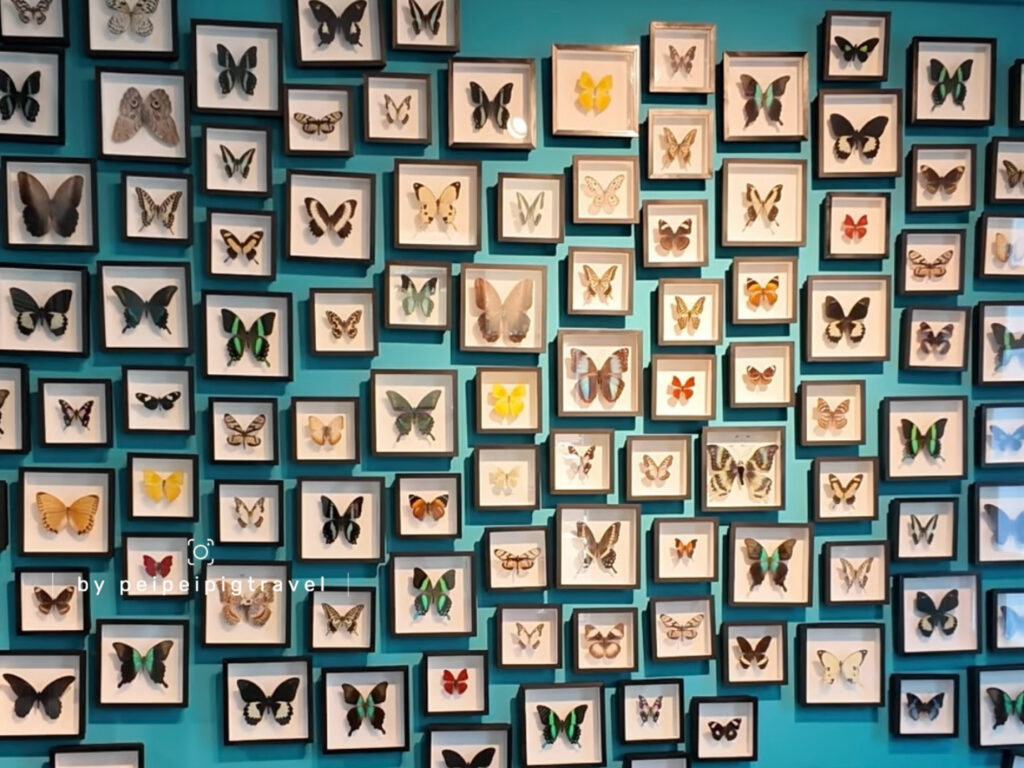 日本神戶自由行｜行程規劃｜六天五夜｜Day 3