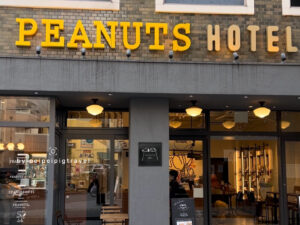 日本神戶自由行｜行程規劃｜六天五夜｜Day 3