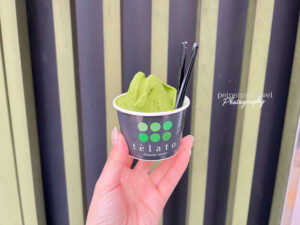 日本九州自由行｜由布院｜福岡