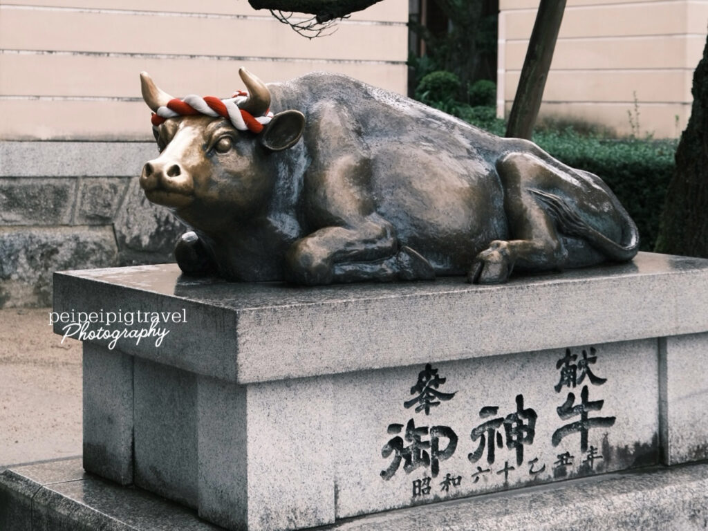 日本福岡自由行｜行程規劃｜六天五夜Day 3