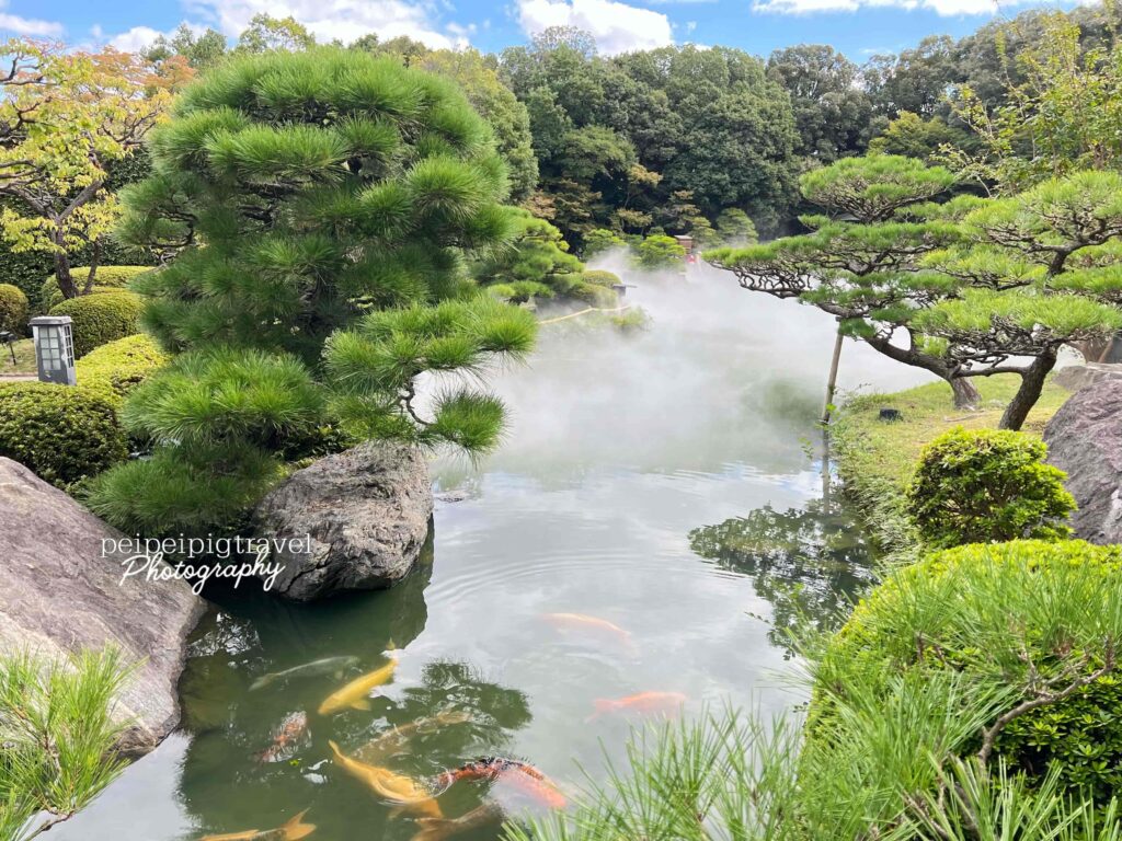 日本福岡自由行｜行程規劃｜六天五夜Day 6